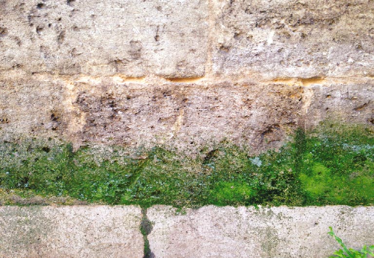 Produits de traitement et renovation de batiment - SarlTIB - tib-impermeabilisant-hydrofujok