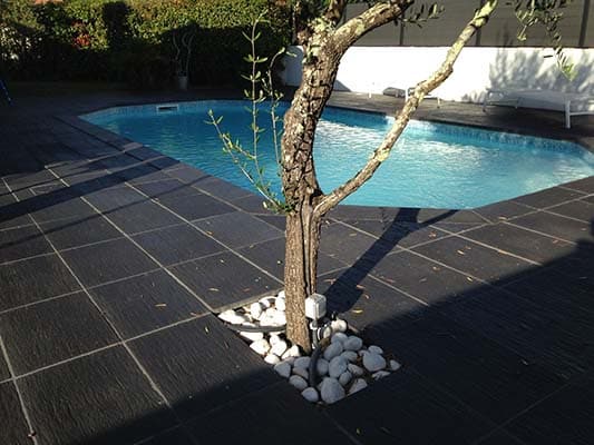 tib-projets-nourrikok-1